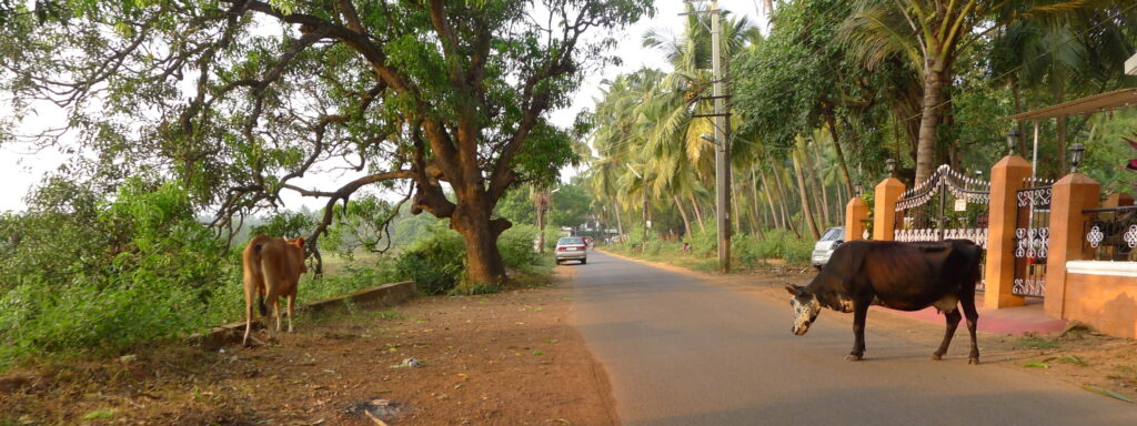p1010265