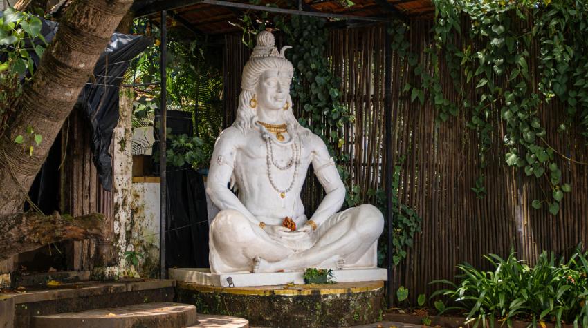 pexels artosuraj 34152665